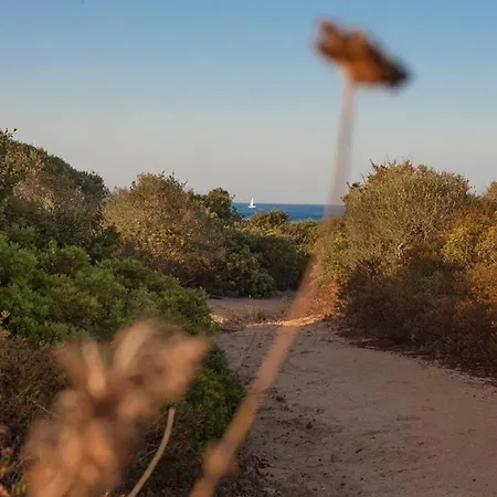 House 100 Meters From The Sea Cala Sinzias